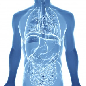 belgyogyaszat-3 02.21